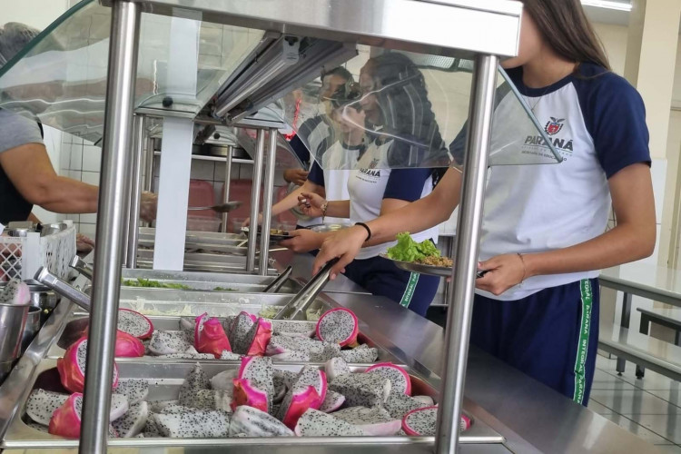 Pitaia amplia alimentação saudável nas escolas e fortalece agricultura familiar