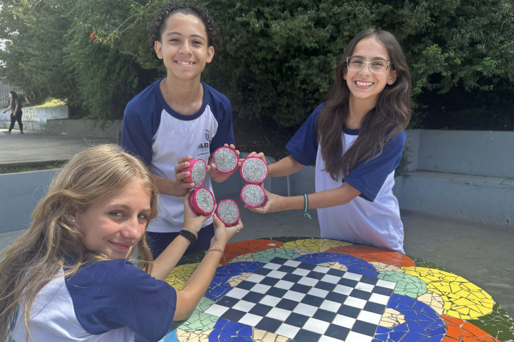 Pitaia amplia alimentação saudável nas escolas e fortalece agricultura familiar