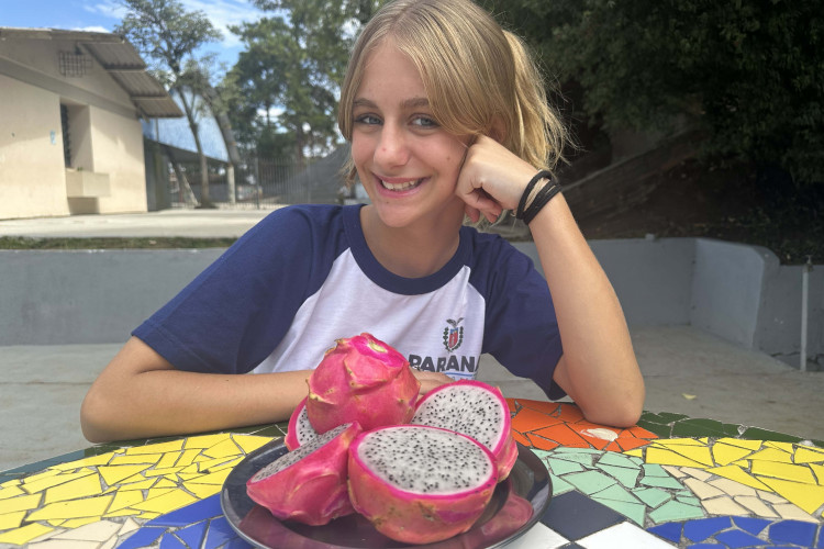 Pitaia amplia alimentação saudável nas escolas e fortalece agricultura familiar