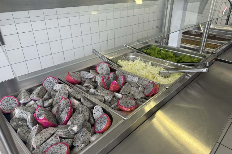 Pitaia amplia alimentação saudável nas escolas e fortalece agricultura familiar