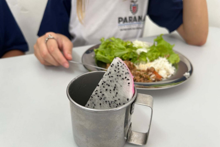 Pitaia amplia alimentação saudável nas escolas e fortalece agricultura familiar