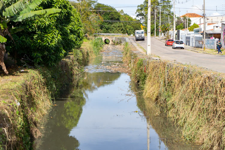 Alunos plantam cinturão verde e avançam na recuperação de rio em São José dos Pinhais
