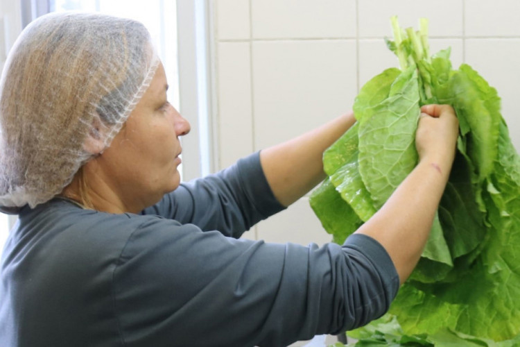 Paraná bate recorde de investimento em alimentos orgânicos nas escolas da rede estadual