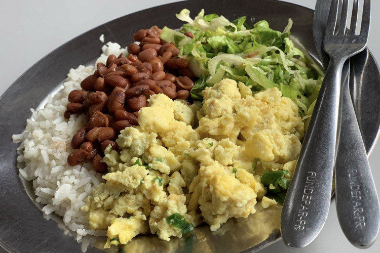 Paraná bate recorde de investimento em alimentos orgânicos nas escolas da rede estadual