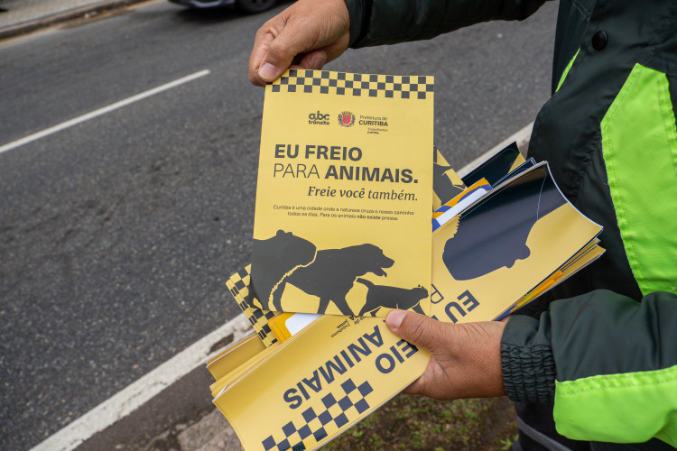 Educação promove ação de sensibilização sobre o Maio Amarelo