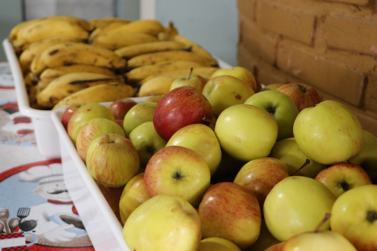 Paraná bate recorde de investimento em alimentos orgânicos nas escolas da rede estadual