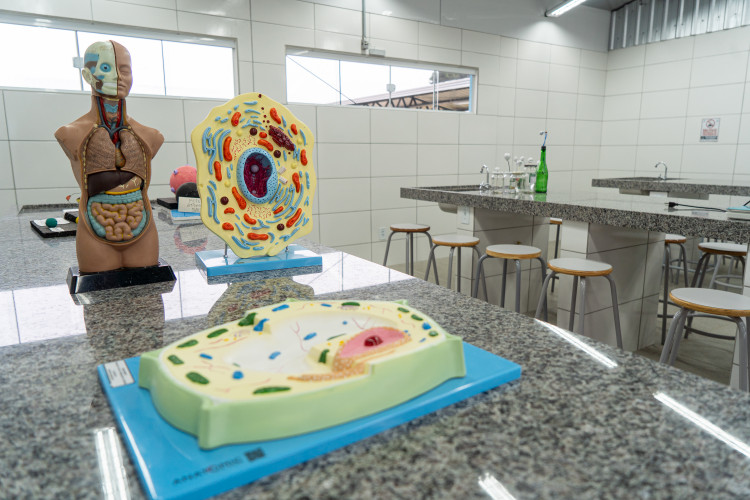 Investimento de R$ 3,5 milhões: colégio de Quitandinha ganha refeitório, laboratório e quadra coberta