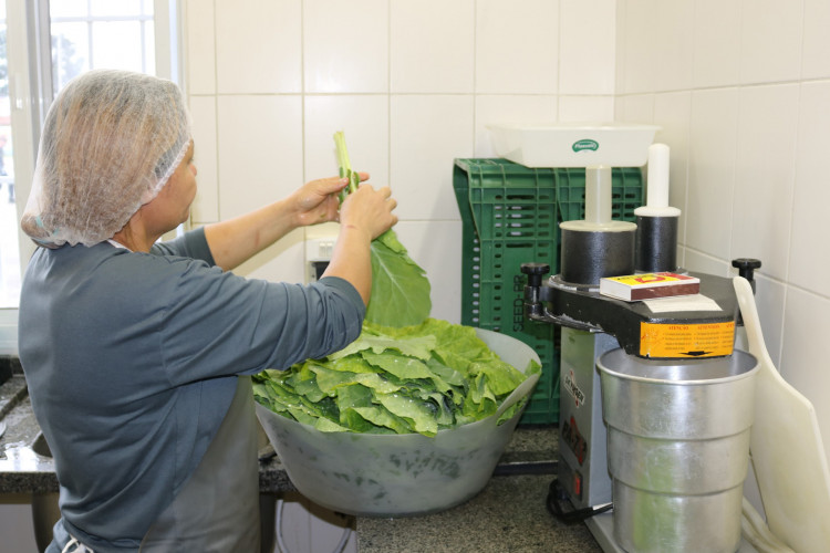 Estado reforça capacitação de 7,9 mil profissionais da alimentação escolar