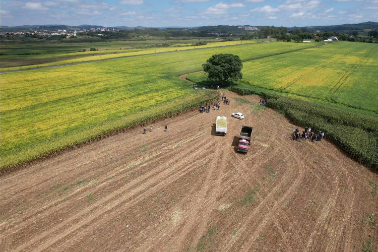 Colégios agrícolas estaduais recebem drones para aulas de agricultura de precisão