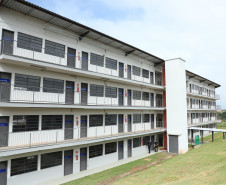 Paraná abre primeira escola técnica de operação florestal do Brasil