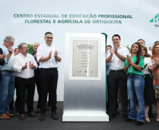 Paraná abre primeira escola técnica de operação florestal do Brasil