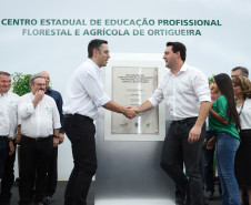 Paraná abre primeira escola técnica de operação florestal do Brasil