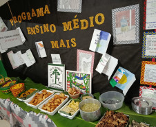 Colégio indígena de Nova Laranjeiras vai representar o Paraná em evento nacional