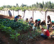 Projeto da Escola Estadual do Campo km 10, em Wenceslau Braz, faz parte das aulas práticas de disciplinas das áreas de Humanas e de Exatas.