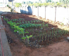 Projeto da Escola Estadual do Campo km 10, em Wenceslau Braz, faz parte das aulas práticas de disciplinas das áreas de Humanas e de Exatas.