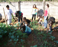 Projeto da Escola Estadual do Campo km 10, em Wenceslau Braz, faz parte das aulas práticas de disciplinas das áreas de Humanas e de Exatas.
