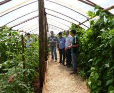 Fundado em 1987, o Colégio Agrícola Estadual de Toledo tem uma área de 48,4 hectares, distribuído em vários setores, que constituem a Unidade Didático Produtiva (UDP) e incluem áreas de plantio e criação de animais.