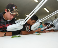 CASTRO-PR 19 DE FEVEREIRO DE 2013 - Centro Estadual de Educação Profissional Olegário Macedo - Educação Profissional dos Campos Gerais. Alunos (e) Murillo Augusto dos Anjos (e) Romulo Ruths.