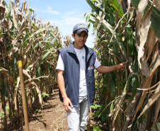CASTRO-PR 19 DE FEVEREIRO DE 2013 - Centro Estadual de Educação Profissional Olegário Macedo - Educação Profissional dos Campos Gerais. Aluno Erison Vinicius Batista.