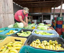11-03-13 - Colombo - AOPA, Associação para Desenvolvimento da Agroecologia.  