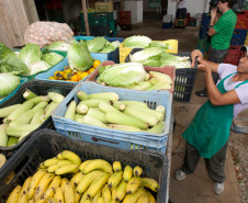 11-03-13 - Colombo - AOPA, Associação para Desenvolvimento da Agroecologia.  