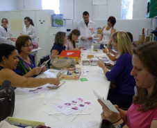 Professores do Núcleo Regional de Toledo concluem curso