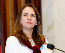Curitiba - 23-04-13 - Reunião pública na Assembleia Legislativa do Paraná sobre o CONAE, na foto Cristiana Gonzaga da Secretaria de Educação.  