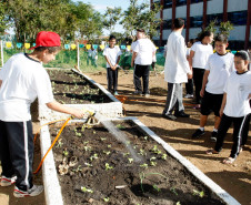 Colombo - 19-04-13 - Colégio Estadual Helena Kolody em Colombo, horta onde os alunos plantam e praticam matemática.  