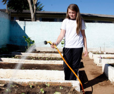 Colombo - 19-04-13 - Colégio Estadual Helena Kolody em Colombo, horta onde os alunos plantam e praticam matemática, Juliana Cristina Freitas, 12 anos, do sexto ano.  