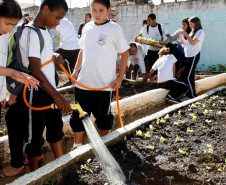 Colombo - 19-04-13 - Colégio Estadual Helena Kolody em Colombo, horta onde os alunos plantam e praticam matemática.  