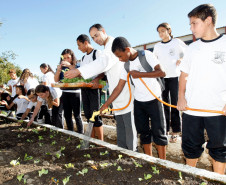 Colombo - 19-04-13 - Colégio Estadual Helena Kolody em Colombo, horta onde os alunos plantam e praticam matemática.  