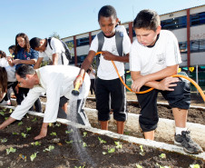 Colombo - 19-04-13 - Colégio Estadual Helena Kolody em Colombo, horta onde os alunos plantam e praticam matemática.  