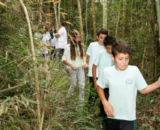 Campo Magro - 23-04-13 - Colégio Estadual Campo Magro, alunos andam pela trilha feita pelos professores no colégio.  