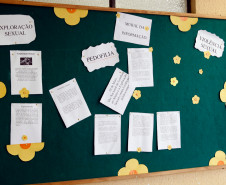 Em Curitiba, alunos do Colégio Estadual Senhorinha de Moraes Sarmento, participam de um concurso de grafite. A melhor arte será reproduzida no muro da escola. Os estudantes estão fazendo ainda um jornal mural com informações sobre a temática, escrevendo poesias e confeccionando cartazes. A flor símbolo do dia também será pintada no colégio. 