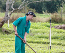 04-06-13 - Pinhais, Centro Estadual de Educação Profissional Newton Freire Maia, alunos tem aula prática de plantio. 