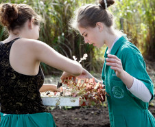 04-06-13 - Pinhais, Centro Estadual de Educação Profissional Newton Freire Maia, alunos tem aula prática de plantio. 