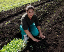 04-06-13 - Pinhais, Centro Estadual de Educação Profissional Newton Freire Maia, alunos tem aula prática de plantio, na foto a aluna Anny Carolina Della Vecha de Souza de 14 anos do primeiro ano.  