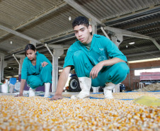 04-06-13 - Pinhais, Centro Estadual de Educação Profissional Newton Freire Maia, alunos tem aula prática de plantio, na foto os alunos Thalyson Sergio Elias de 16 anos do primeiro ano e Larana Aparecida Mangger de 15 anos do primeiro ano. 
