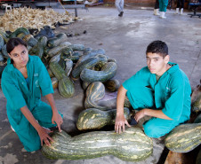04-06-13 - Pinhais, Centro Estadual de Educação Profissional Newton Freire Maia, alunos tem aula prática de plantio, na foto os alunos Thalyson Sergio Elias de 16 anos do primeiro ano e Larana Aparecida Mangger de 15 anos do primeiro ano.  