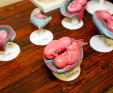 Colégio Estadual São Pedro Apóstolo com novos materiais para o curso de enfermagem. 12-08-13. 