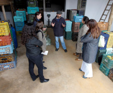 Equipe da Prefeitura de São Paulo conhece o sistema de distribuição de alimentos orgânicos produzidos pela agricultura familiar, para as escolas estaduais. Na foto, o produtor rural, José Antonio da Silva Marfil, conversa com Danuta Chmielewska, Flavia Albuqyerque e Erika Espindola Fischer. Curitiba, 19/08/2013.  