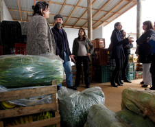 Equipe da Prefeitura de São Paulo conhece o sistema de distribuição de alimentos orgânicos produzidos pela agricultura familiar, para as escolas estaduais. Na foto, o produtor rural, José Antonio da Silva Marfil, conversa com Danuta Chmielewska, Flavia Albuqyerque e Erika Espindola Fischer. Curitiba, 19/08/2013.  