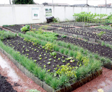20-06-13 - Colégio Estadual Ipê em São José dos Pinhais. Colégio implanta sistema sustentável com horta, árvores, jardim, rádio escola.