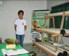 Eventos servem para definir delegação que representa o Paraná na 4ª Conferência Nacional Infantojuvenil pelo Meio Ambiente, Brasília. Atividades do NRE de Goioerê.