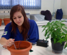 Maria Caroline concorreu, neste ano, ao prêmio da 3.ª edição da Feira de Ciências Internacional da empresa Google (Science Fair). O projeto apresentado por ela foi “Tecnologia para o uso racional da água”, que também está concorrendo ao Prêmio Jovem Cientista do Conselho Nacional de Desenvolvimento Científico e Tecnológico (CNPq).