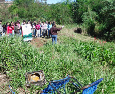 Alunos do Colégio Pioneiros de Foz do Iguaçu começaram, nesta quarta-feira (25), o monitoramento do Rio Sanga Romão, que passa próximo ao Colégio e é um dos afluentes do Rio Boicy, um dos mais importantes do município.  