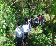 Alunos do Colégio Pioneiros de Foz do Iguaçu começaram, nesta quarta-feira (25), o monitoramento do Rio Sanga Romão, que passa próximo ao Colégio e é um dos afluentes do Rio Boicy, um dos mais importantes do município. 