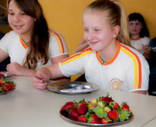 Em Prudentópolis, na região Central do Paraná, as merendeiras Marilda de Lima e Silvana Zdebski, do Colégio Estadual Alberto de Carvalho, usam as frutas em diversas receitas. Entre as várias opções, o sorvete natural de morango fez sucesso entre os alunos.