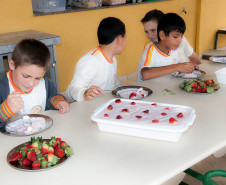 Em Prudentópolis, na região Central do Paraná, as merendeiras Marilda de Lima e Silvana Zdebski, do Colégio Estadual Alberto de Carvalho, usam as frutas em diversas receitas. Entre as várias opções, o sorvete natural de morango fez sucesso entre os alunos.