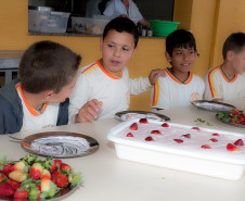 Em Prudentópolis, na região Central do Paraná, as merendeiras Marilda de Lima e Silvana Zdebski, do Colégio Estadual Alberto de Carvalho, usam as frutas em diversas receitas. Entre as várias opções, o sorvete natural de morango fez sucesso entre os alunos.